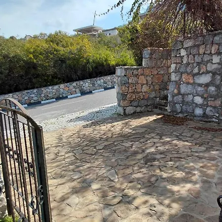 Sakura * Kyrenia (Northern Cyprus)